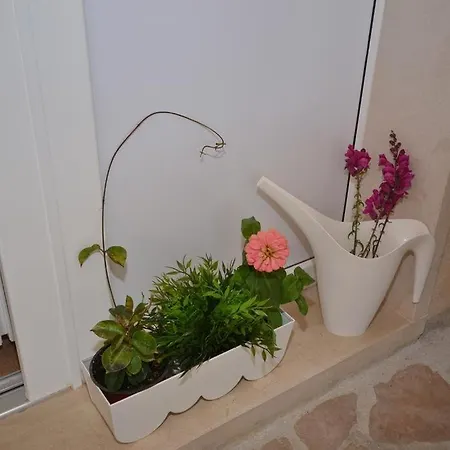 Apartament Studio In Murvica 3731 4 *